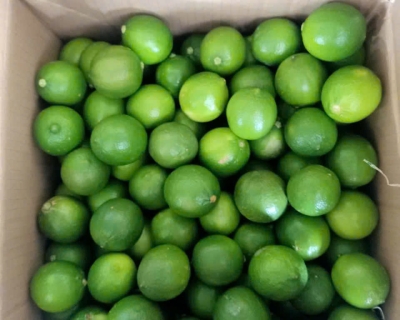 Thị Trường Malaysia